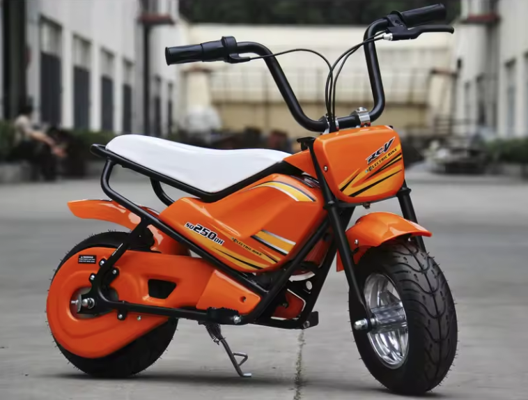 Ride On 24v Electric Monkey Mini Bike