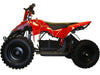 Motohead 24V Mini Quad