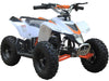 Motohead 24V Mini Quad