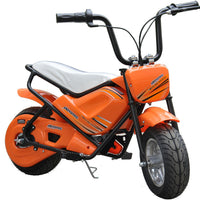 Ride On 24v Electric Monkey Mini Bike