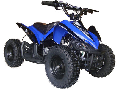 Motohead 24V Mini Quad