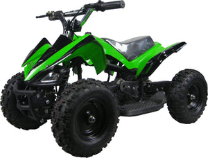 Motohead 24V Mini Quad
