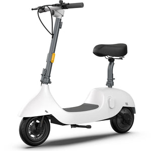 Roadrunner 36V Electric Scooter With Brushless Motor